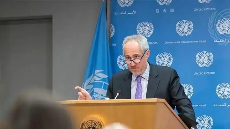 Стефан Дюжаррик 