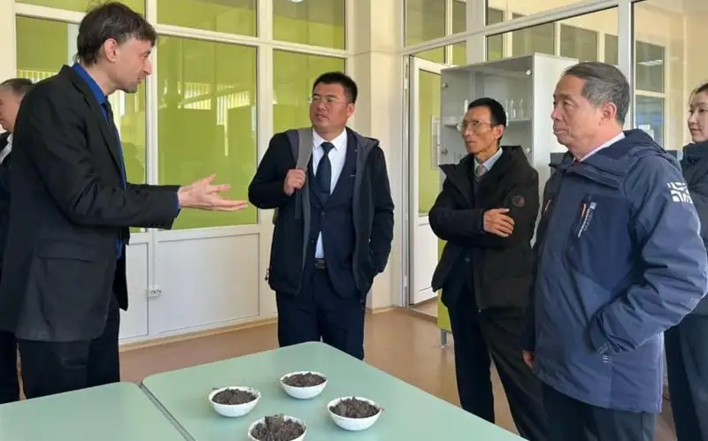 университет