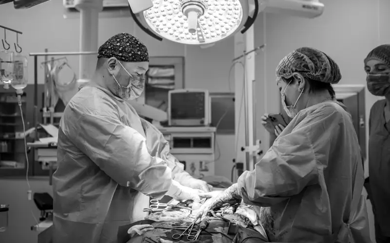 Баспалдақтағы бағбан жетілген кеуделі анал