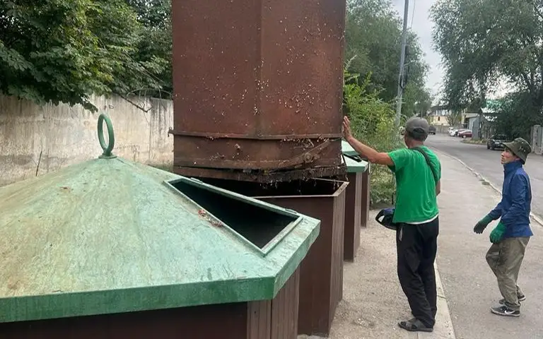 тұрмыстық қалдықтар