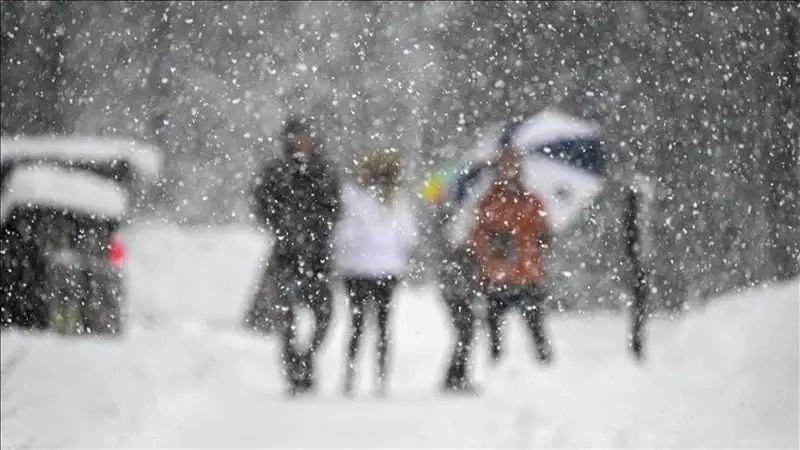 Snow, winter 