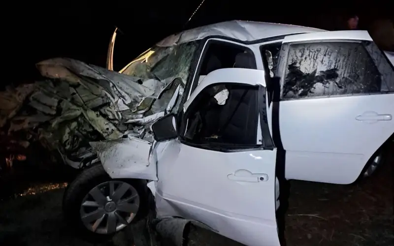 Водитель легковушки въехал в прицеп с сеном на трассе Павлодар-Семей