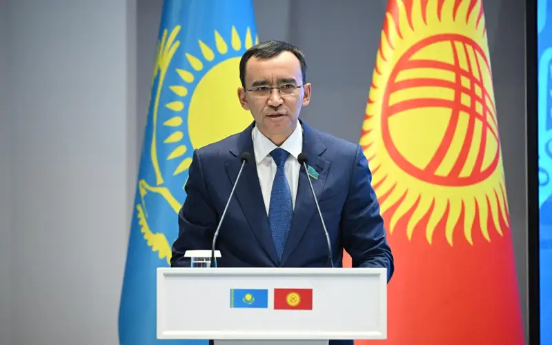 Казахско-кыргызский форум молодежи