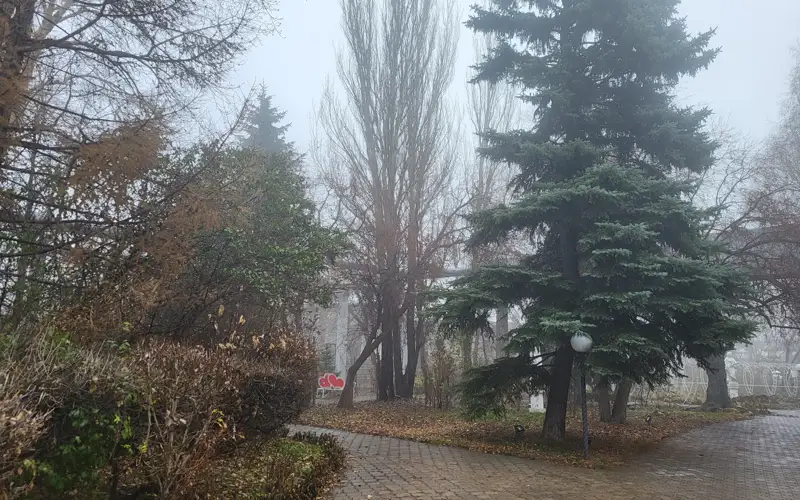 Ботанический сад Петропавловск