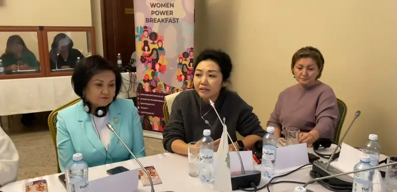 Создать нацпрограмму «Салтанат» предложили правозащитницы Казахстана