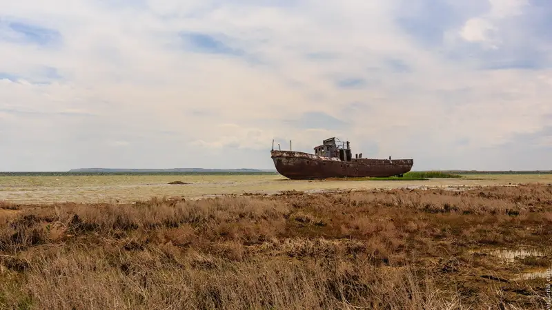 Келаси йили Қозоғистон Халқаро Оролни қутқариш жамғармасига раислик қилади