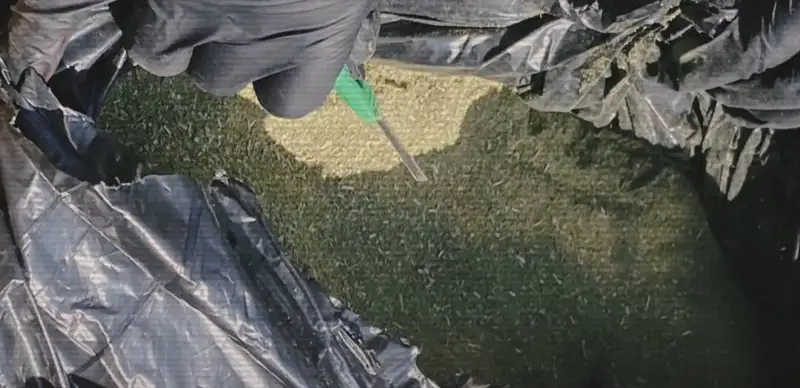 наркопреступность наркотики