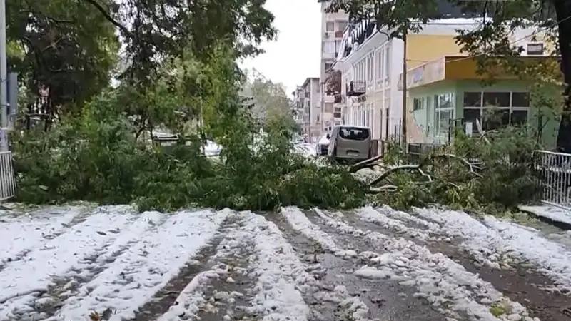 bolgarııa