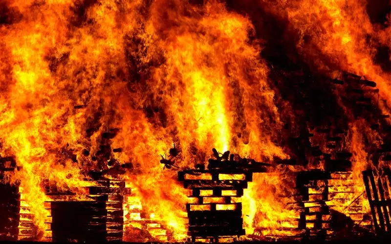 7 killed in east China's factory fire