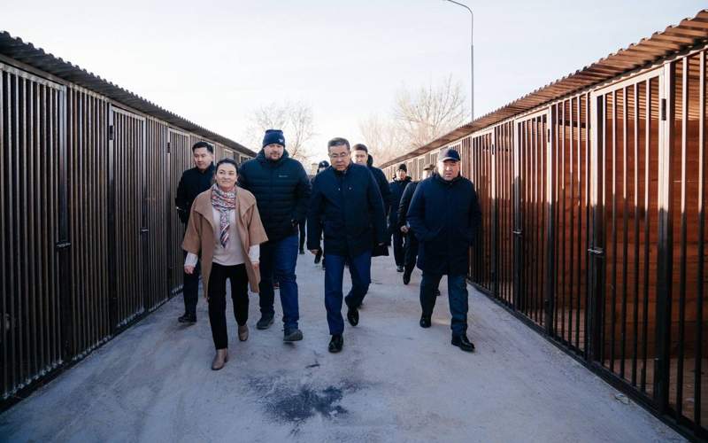 Новоселье отмечает приют для животных в Семее приют для животных