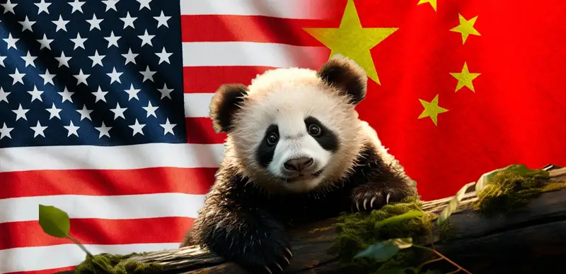 США, Китай, панда