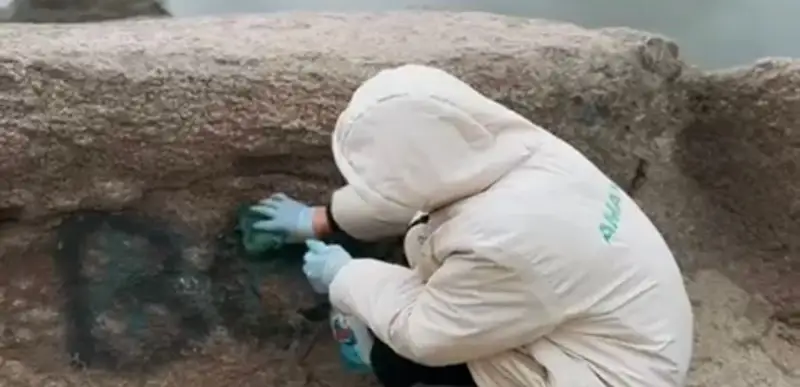 молодежное крыло «Жастар Рухы»