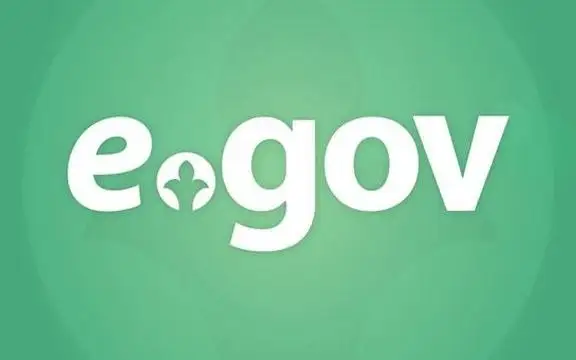 электронное правительство