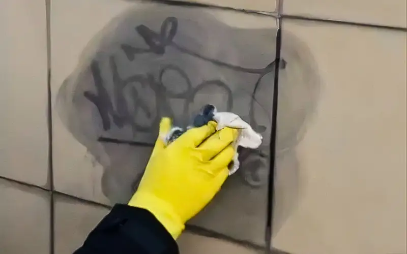 Против вандализма: павлодарские студенты отмыли от надписей подземный переход