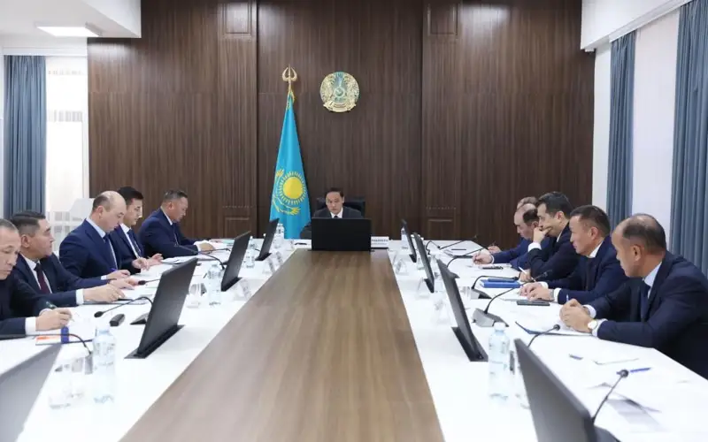 К выявлению природных очагов сибирской язвы привлекут старейшин сел в Жамбылской области