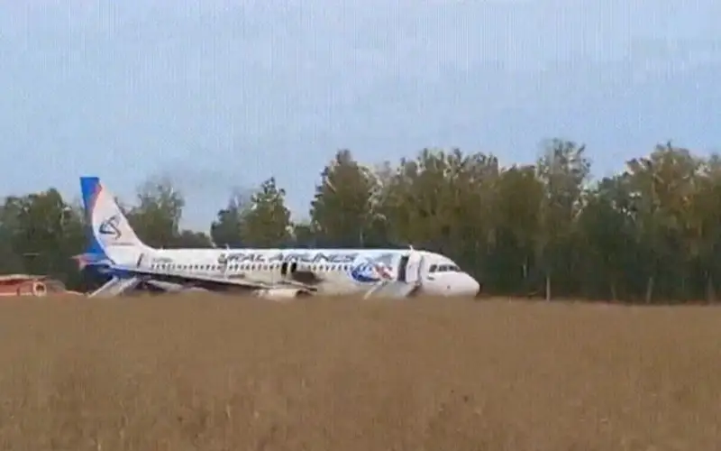 ۇشاق ەگىستىككە شۇعىل قوندى