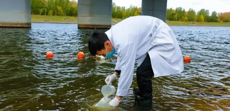 Минводы специалисты