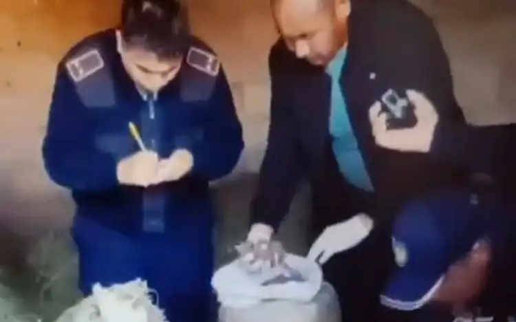 Jambyl oblysy PD baspasóz qyzmeti