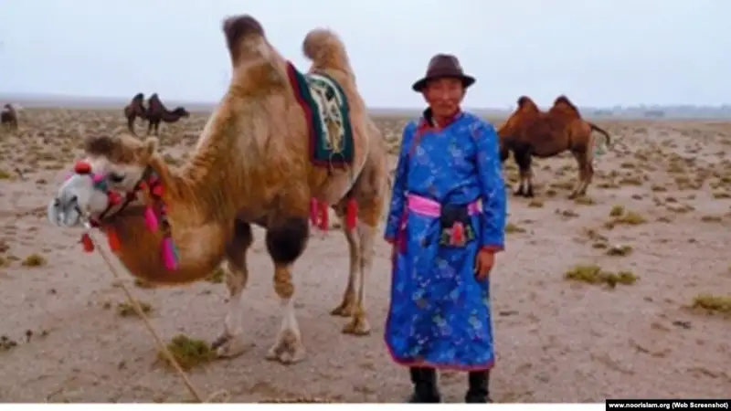 мұсылман моңғол