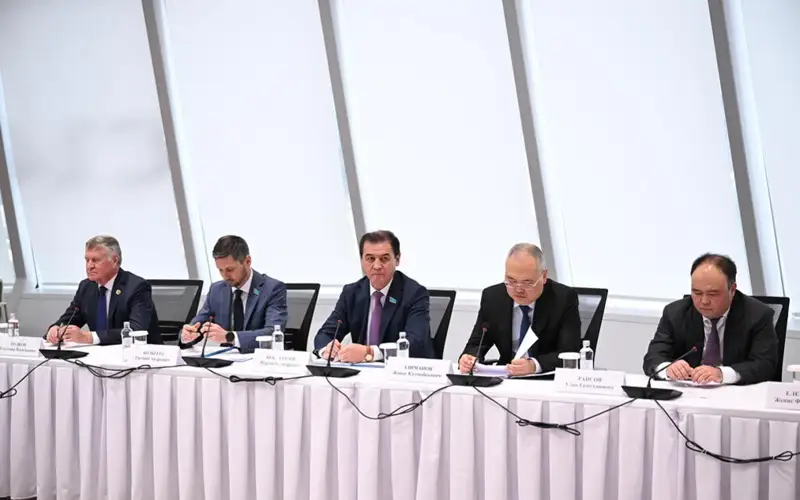 Вопросы декриминализации уголовных преступлений в сфере экономики обсудили сенаторы