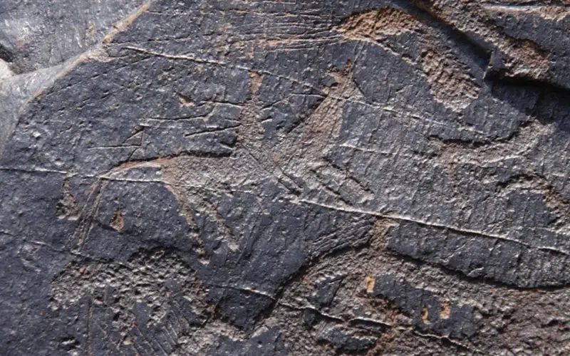 Орындықтағы жыныстық позиция Тәжікстан порно ру