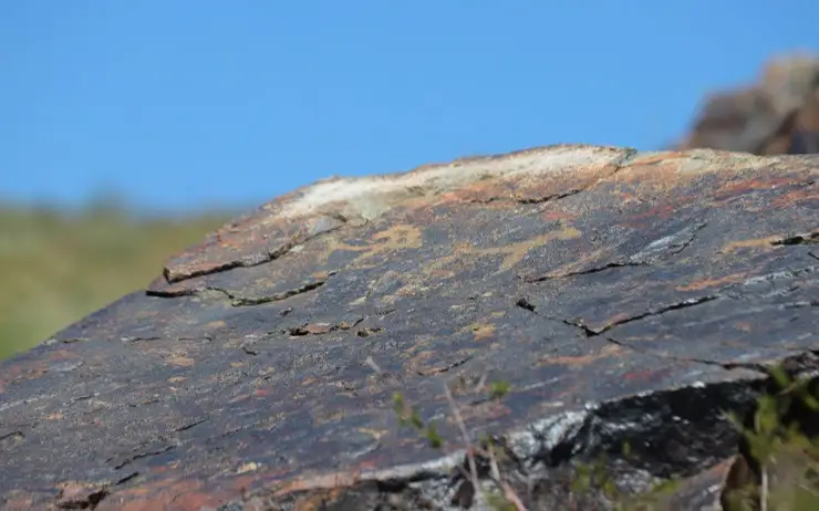 Магдалена Сент-Майклс өмірбаяны Кайли Минок порно