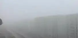 Дауыл