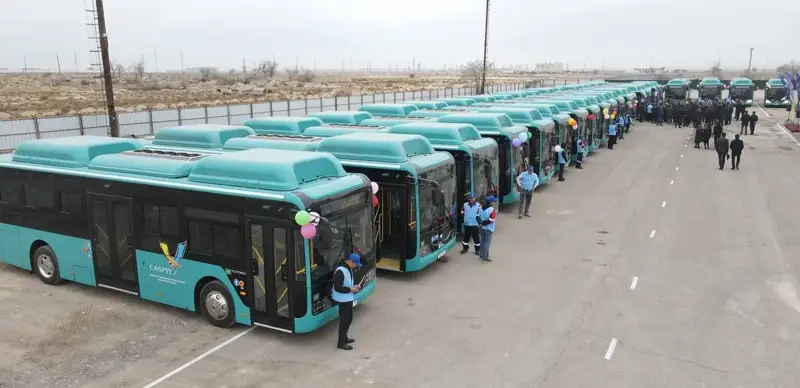 Автобусы