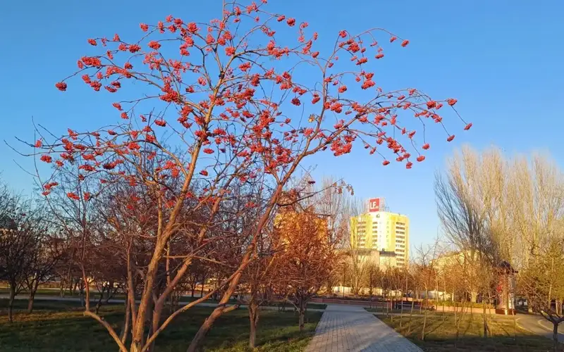 No precipitation forecast in most parts of Kazakhstan Nov 27