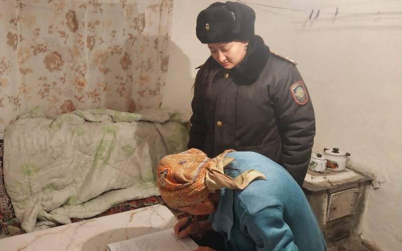 Зорлық-зомбылық консультация кносультация