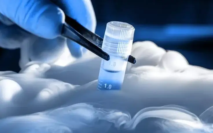 заморозка яйцеклетки