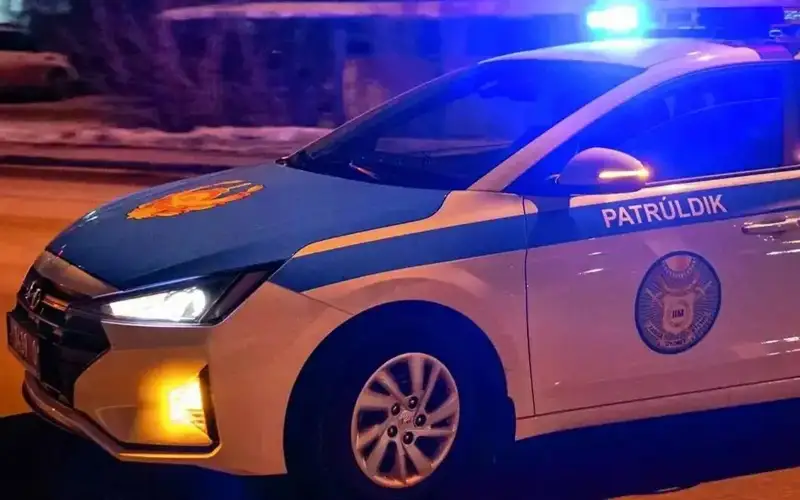 الماتىدا كوشە جارىقشامىن قاعىپ كەتكەن كولىك يەسى ىزدەستىرىلىپ جاتىر