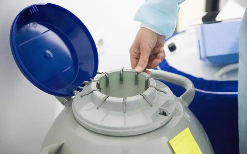 заморозка яйцеклеток