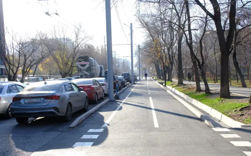 Велополоса