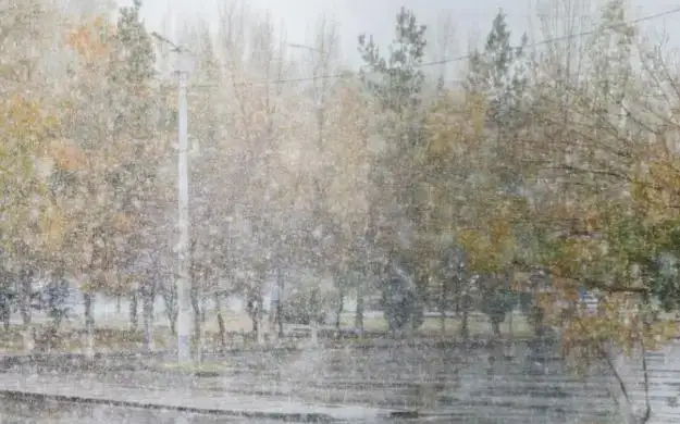 Rain and snow forecast in Kazakhstan Nov 29