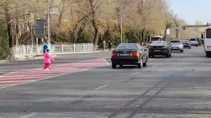 ПДД ДТП пешеходы