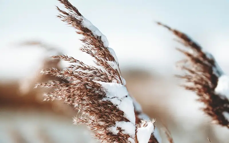 Погода декабрь