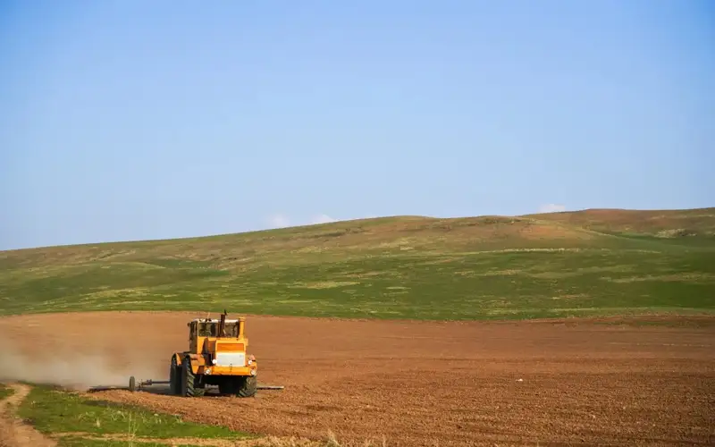 Harvesting 