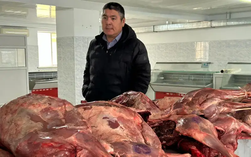 Киік еті сатылымда