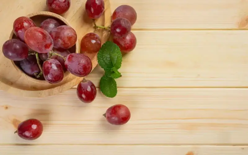 Фото: jcomp/Freepik