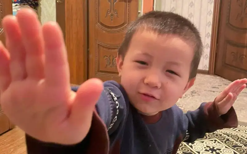 Четырехлетний мальчик пропал в Туркестане