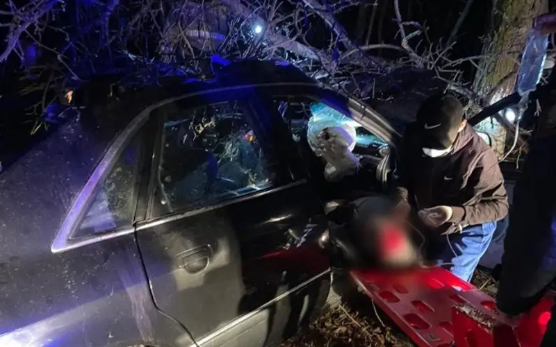 Смертельное ДТП 