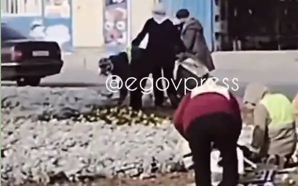 зимняя посадка цветов в Шымкенте