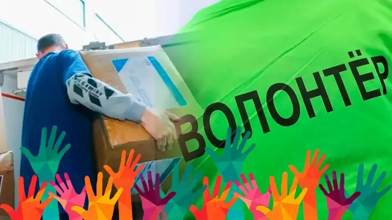 волонтёрлар