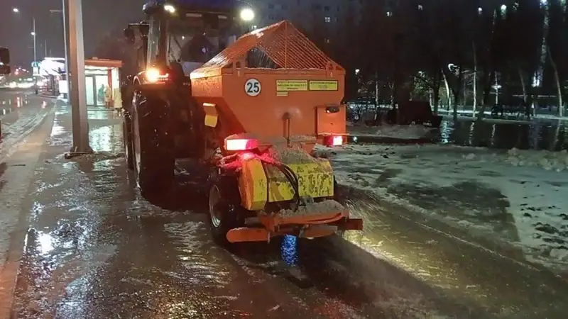 kóktaıǵaq