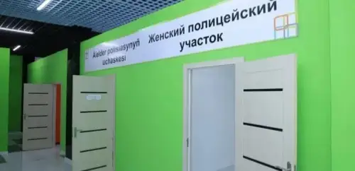 ايەلدەرگە ارنالعان پوليتسيا
