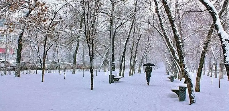 Зимние этюды