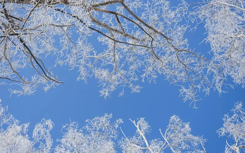 8 декабрь куни Қозоғистонда ёғингарчиликсиз совуқ ҳаво кутилмоқда