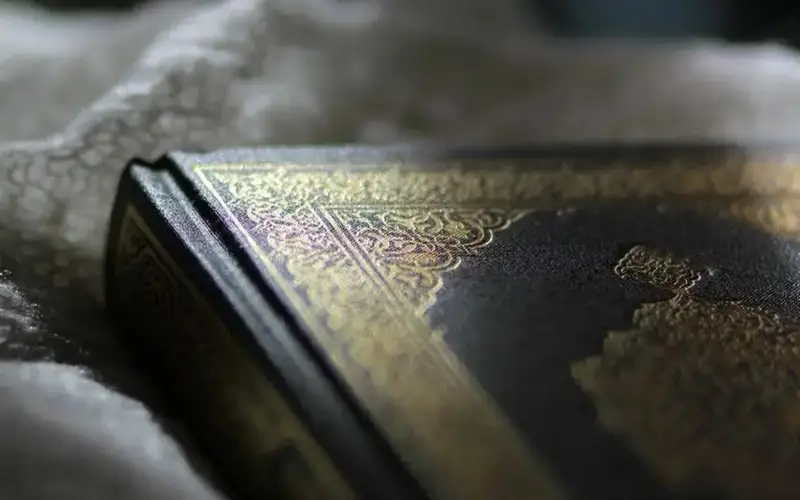 Дания парламенти Қуръонни ёқишни тақиқлашни қўллаб-қувватлади