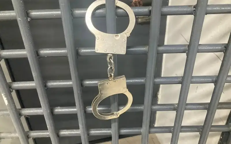 Ўзбекистонда уюшган жиноий гуруҳнинг 100 дан ортиқ аъзоси қўлга олинди